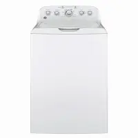 在飛比找特力屋線上購物優惠-[特價]GE奇異15公斤不鏽鋼內槽直立式洗衣機 GTW465