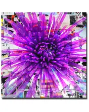 Ready2HangArt Painted Petals LXVIII Wrapped Canvas Wall Art by Tristan Scott