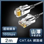 山澤 CAT.6A 10GBPS超高速傳輸八芯雙絞鍍金芯極細網路線 黑/2M