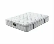 Mattress Medium Firm Box Pocket Spring