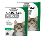 Frontline Plus Cat 12 pack