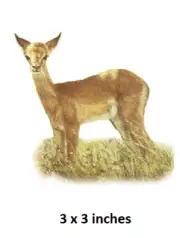 Baby Impala Wall Decal African Antelope Deer Vinyl Sticker Peel Stick Art Decor