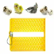 132pcs Quail Egg Automatic Egg Turner Tray for Auto Incubator Machine HD JY