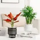 Plastic Flowerpot Removable Mini Succulent Planter Creative Tabletop Vase