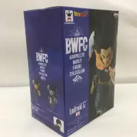 在飛比找蝦皮商城優惠-BANPRESTO 七龍珠 BWFC 天下武道會2 其之三 