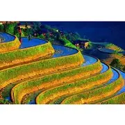 Save 5.00%! Small Group: Longji Rice Terraces & Minority Village Tour