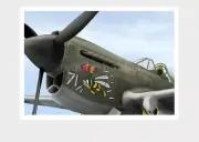 Warhead Illustrated Aircraft Art Print P-40N Angry Bee