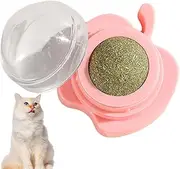 Catnip Wall Toys | Teeth Cleaning Cat Bite Toy | Cat Wall Decoration, Catnip-Infused Kitten Playing Chewing Cleaning Teeth Toy Entertaining for Cats Wall
