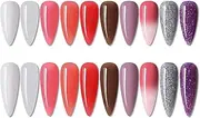 Anself Nail Gel Set 10 Colors Nail Gel Base Coat & Top Coat 6 Colors Nail Powder False Nail Tips Nail Pusher Nail Pen Nail File Rhinestones Nail BeautySalon Nail Tool Kit