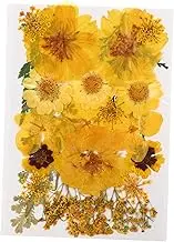 HOODANCOS Pressed Flowers DIY Kit 15pcs Real Flowers Ideal for Handmade Bookmarks Scrapbooking Decor