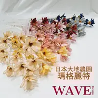 在飛比找蝦皮購物優惠-《WAVE Design 》日本大地農園 瑪格麗特 木片 小