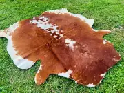 Real Cowhide Rug Brindle White Backbone Tricolor (Medium Cow Rug) Home decor rug