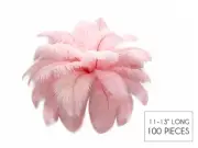 100 Pieces - 11-13" Baby Pink Ostrich Drabs Wholesale Body Feathers (Bulk) Craft