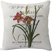 Cushion covers Cushion Covers 60cm x 60cm Pink Beige Flower Cushion Covers Invisible Zipper Sofa Cushions Outdoor Cushions Garden Cushions Linen Decorative Pillows for Home Office Car(Retro Grass Gree