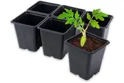 Garden Greens 48PK Planter Seedling Pots Square Reusable Durable 11cm x 12cm