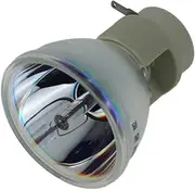 Replacement Projector Lamp MC.JN811.001 Projector Lamp Compatible with Acer DWX1521 H6517ABD H6519 X115 X115AH X115H X117 X117AH X117H X125H X127H X135WH X137 Projector Lamp Bulb(MC.JN811.001 CB)