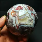 TOP 561G Natural Polished Mexico Agate Crystal Sphere Ball Healing BY773