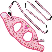 HOMOBABE Dog Harness for Pet Walking Breathable Puppy and Cat Belt with Durable Pulling Rope for Small to Breeds for Comfortable