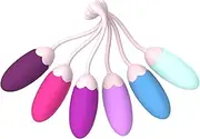 FENHUA Kegel Exercise System–Pelvic Floor Strengthening with 6 Premium Silicone Weights & Adjustable Control for Women, Beginners & Advanced, Postpartum & Incontinence Training Kit