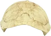 Housoutil 1pc Resin Turtle Shell Cave for Reptiles Natural Hideout Ornament for Pet Decorative Resting Space for Turtles Lizards Amphibians