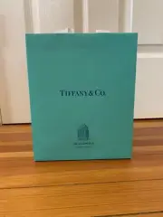Tiffany & Co NYC Landmark Flagship Exclusive Packaging - Shopping Bag- NEW!
