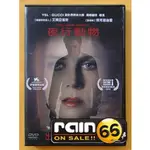 ⊕RAIN65⊕正版DVD【夜行動物】-摯愛無盡導演*雲端情人-艾美亞當斯*十月的天空-傑克葛倫霍