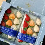 日本奈良三色草莓｜古都華、淡雪、白珍珠