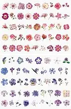 FRAINBOWZ 90Pcs Flower Sticker Scrapbook, Natural Flower Sticker Scrapbook, Transparent Flower Sticker Scrapbook for Craft Card Notebook Diary DIY Craft