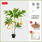 仿真植物擺件牆壁裝飾掛件曼陀羅花仿真綠植大型北歐室內客廳落地式盆栽擺件新款高檔仿真花