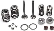 Minho GY6 Intake Valve and Exhaust Valve Assembly Kit in Alloy Steel Material,Compatible with Chinese GY6 4-Stroke 50cc 139QMA 139QMB Engine Scooter Mopeds ATV Go Kart,69mm Length