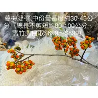 在飛比找蝦皮購物優惠-#JM花草夢竹北#蔓梅凝乾燥花材#禪意花材