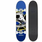 Birdhouse Skateboard Complete Tony Hawk Oversized Skull 7.25" Mini / Youth