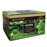 時時纖纖 野菜青汁GREEN JUICE POWDER(1盒組)