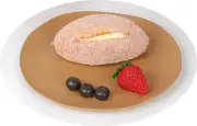 DishZen 10.5 inch HeavyDuty Microwave Dishwasher Safe WheatStraw Plates 2 Count