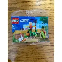 在飛比找蝦皮購物優惠-樂高 LEGO 30590 City 城市 農場 花園 稻草