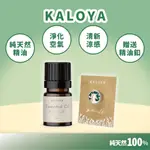 ｜現貨｜KALOYA森呼吸防禦精油-100%純天然 送精油釦 買一送三 口罩精油釦子 純天然精油 綠花白千層