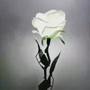 Seven-Color Light Rose Stage Magic Tricks Color Changing Flower Magic Wedding