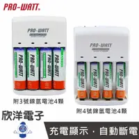 在飛比找樂天市場購物網優惠-※ 欣洋電子 ※ PRO-WATT 110V~220V 鎳氫