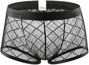 [AIVibrat] Sexy Mens See Through Mesh Underwear Bulge Pouch Ice Silk Underpants Breathable Boxer Briefs