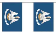 LOUISIANA U.S. STATE 3 metre BUNTING 10 FLAGS flag USA AMERICA AMERICAN