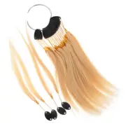 Highlights Hair Color Kit Grey Coverage Touch up Brushes for Salon