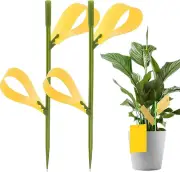 Sticky Traps 40 Pcs Fruit Fly Sticky Traps and Fungus Gnat Traps for Plants, Fly