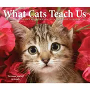 2025 What Cats Teach Us Page-A-Day Calendar