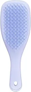 Tangle Teaser The Ultimate Detangler Mini Icy Lavender