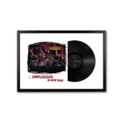 Framed Nirvana MTV Unplugged Vinyl Album Art