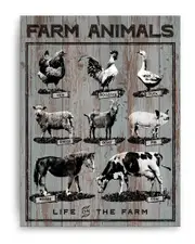Ready2HangArt Farm Animals Wrapped Canvas Wall Art by Olivia Rose