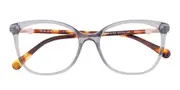 Radley RDO 6051 161 Men's Glasses Purple Size 53 - Private Health Rebate - Blue Light Block Available