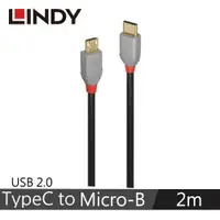 在飛比找蝦皮商城優惠-LINDY林帝 ANTHRA USB2.0 TYPE-C公 