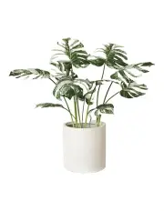 [Vicky Yao] Monstera Albo Faux Plant with Ceramic Pot in White/Green