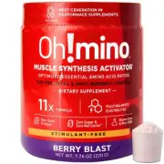 Ohmino Essential Amino Acids for Muscle Gain - BCAAs and EAA Amino acids Powd...